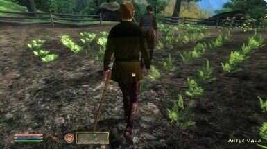 the-elder-scrolls-iv-oblivion-05