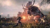 Анонсировано бесплатное дополнение для The Witcher 3: Wild Hunt